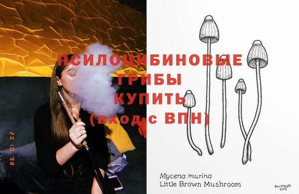 прущие крисы Арсеньев