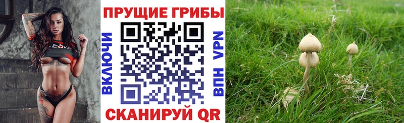 hydra сайт Мантурово Псилоцибиновые грибы Psilocybe купить закладку